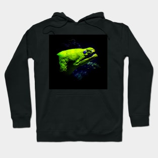 Moray Hoodie